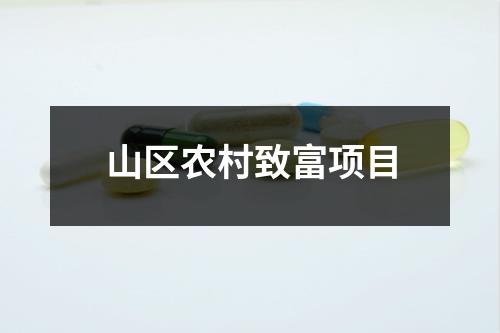 山区农村致富项目