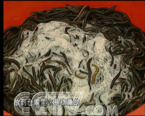 [致富经]在一则广告的诱惑下（2007.11.21）