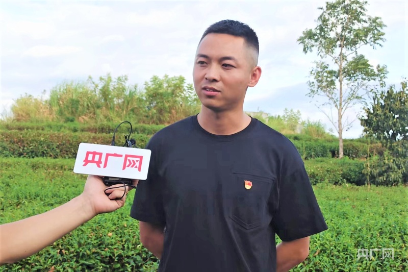 致富经里的种茶名人_致富经茶叶视频_致富名人茶种里面有什么