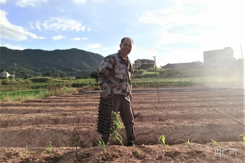 致富经茶叶视频_致富名人茶种里面有什么_致富经里的种茶名人