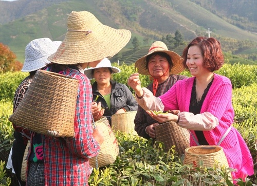 农村致富新项目种植_村里种植什么致富_农村致富项目种植业