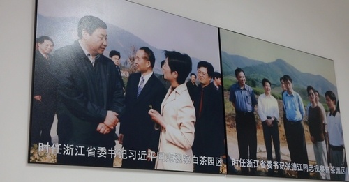 农村致富新项目种植_村里种植什么致富_农村致富项目种植业
