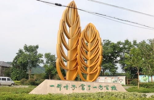 农村致富新项目种植_村里种植什么致富_农村致富项目种植业