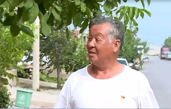 宁河区新时代人物：王凤桐，趟出大棚种植致富路的老支书！