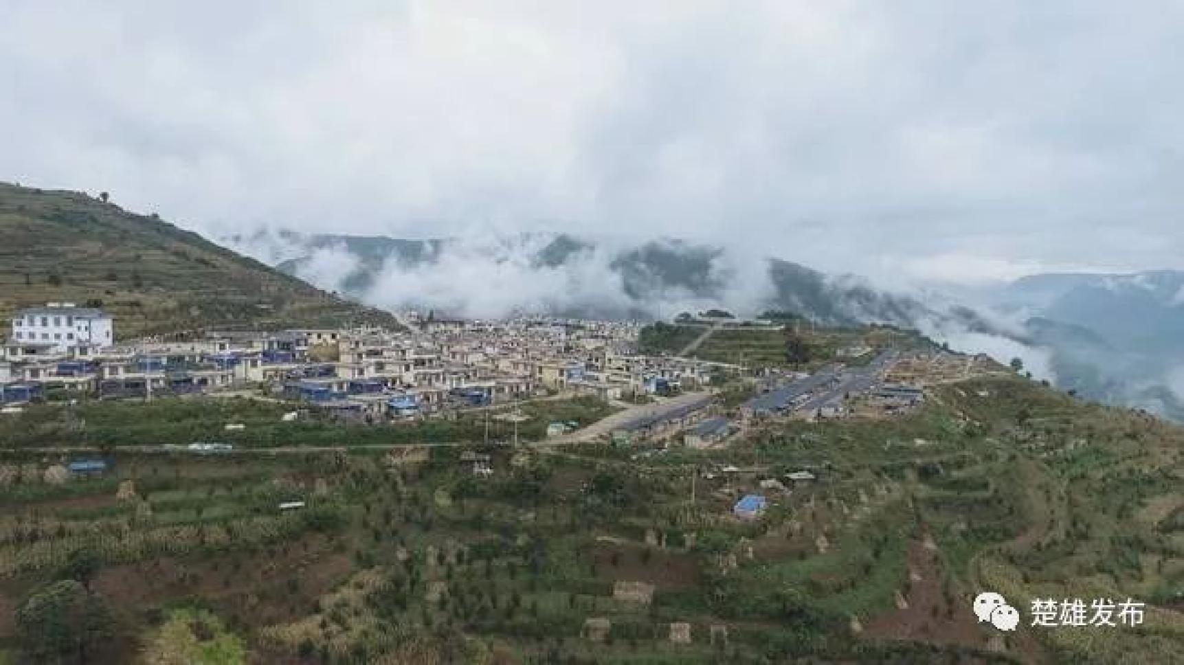 武定：发挥生态优势 助力群众增收致富