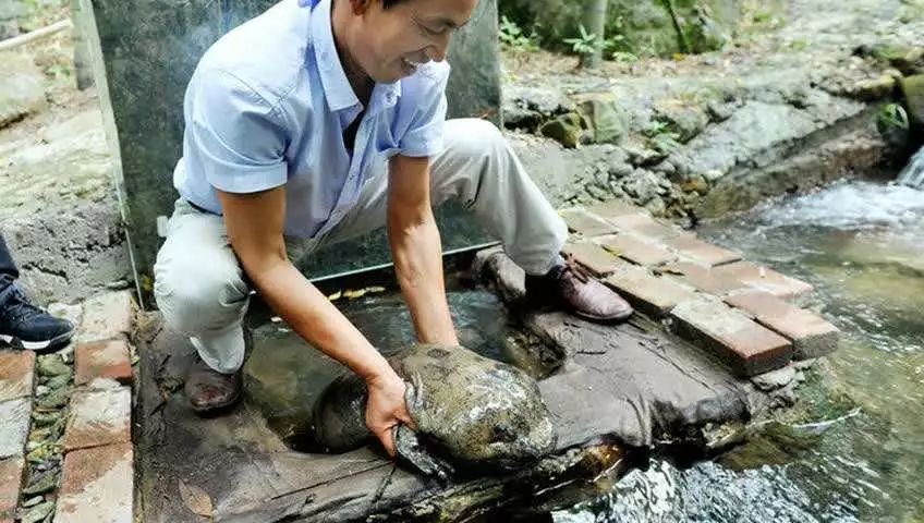 养殖致富经_养殖致富之路_致富轻养殖