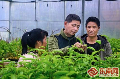 果农致富_致富经水果篇_致富经百香果