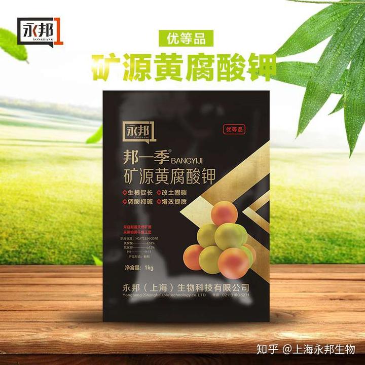 种植姜的技术视频_大姜种植技术视频_视频种植姜技术大全图片