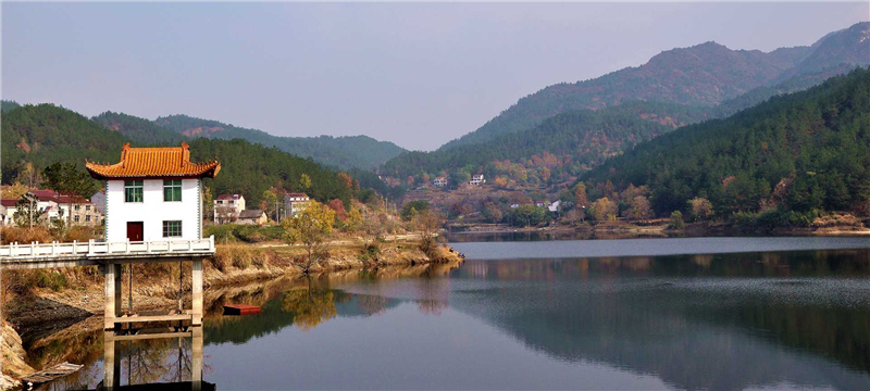 天麻种植园_英山县室内天麻种植致富经_英山天麻多少钱一斤