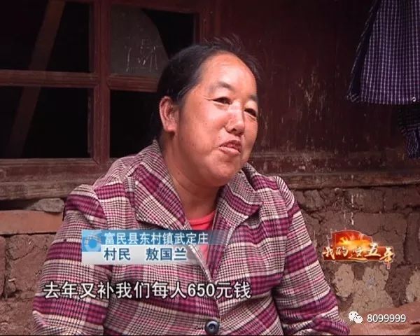 养水牛致富经_养殖水牛_养水牛赚钱吗
