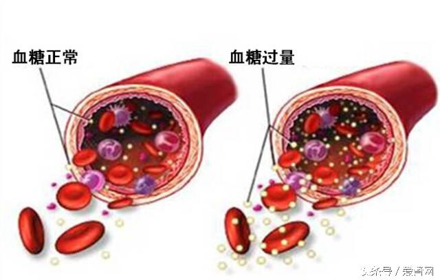 细磷鲑养殖技术_细鳞鲑鱼苗_养殖细鳞鱼