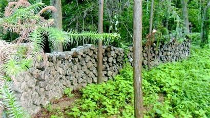 大别山万亩山林年租金亩均2.9元 成私企提款机