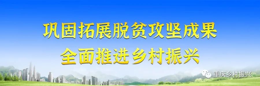 巫溪种植致富项目_巫溪适合种植的植物_巫溪种植独活基地电话