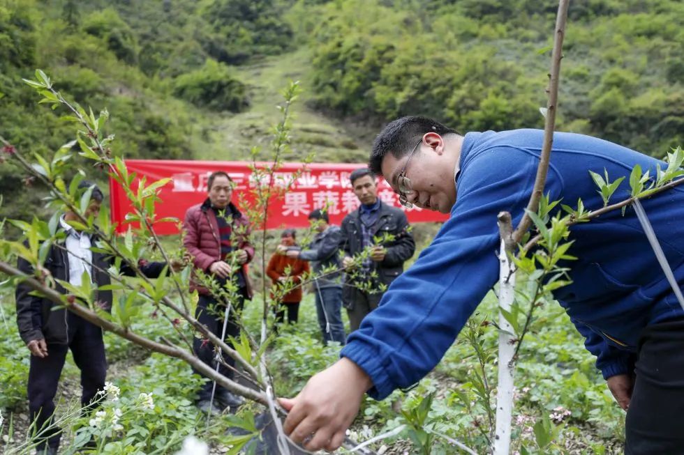 巫溪适合种植的植物_巫溪种植致富项目_重庆巫溪适合种什么药材