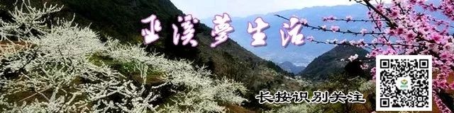 【本土】27日晚，巫溪大河乡将人气爆棚