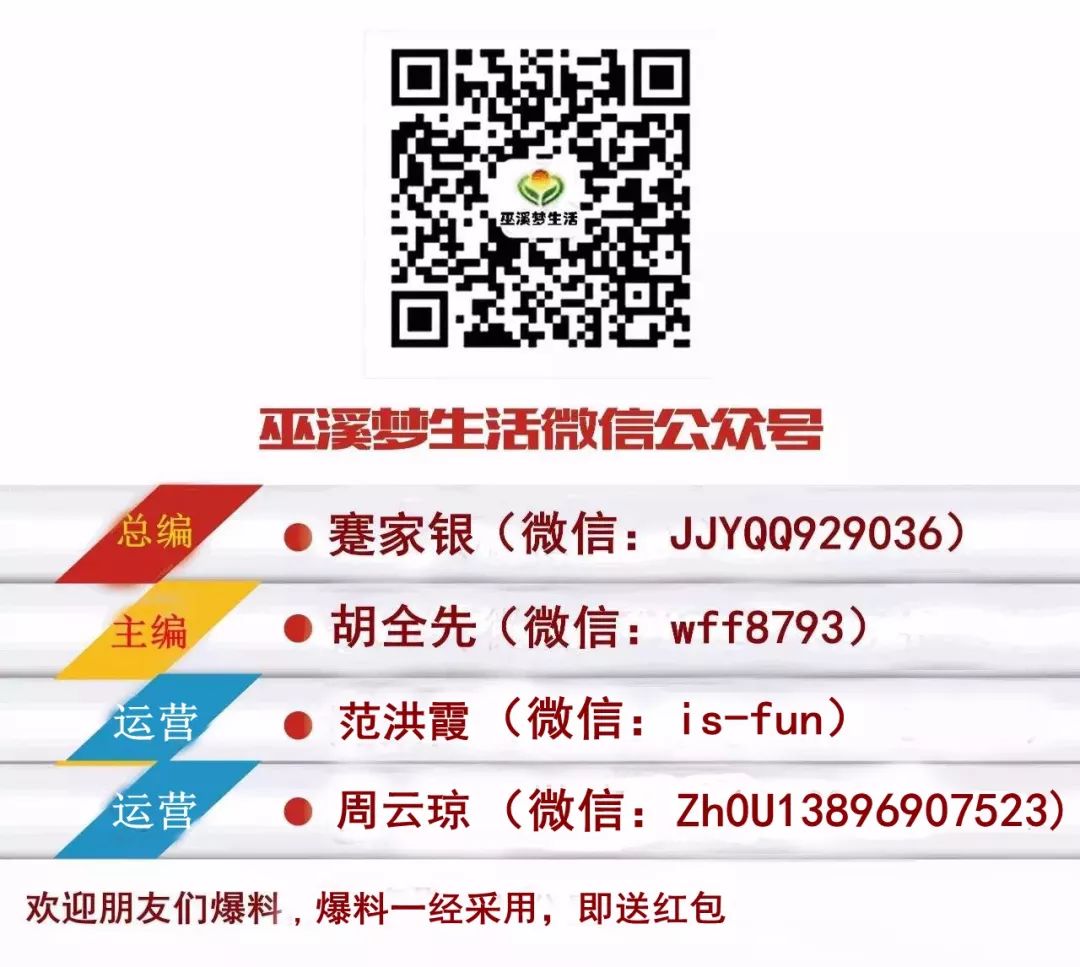致富种植巫溪项目有哪些_巫溪种植独活基地电话_巫溪种植致富项目