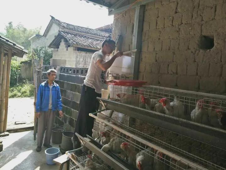 致富海南养殖企业_海南养殖业什么最赚钱农村_海南养殖什么致富