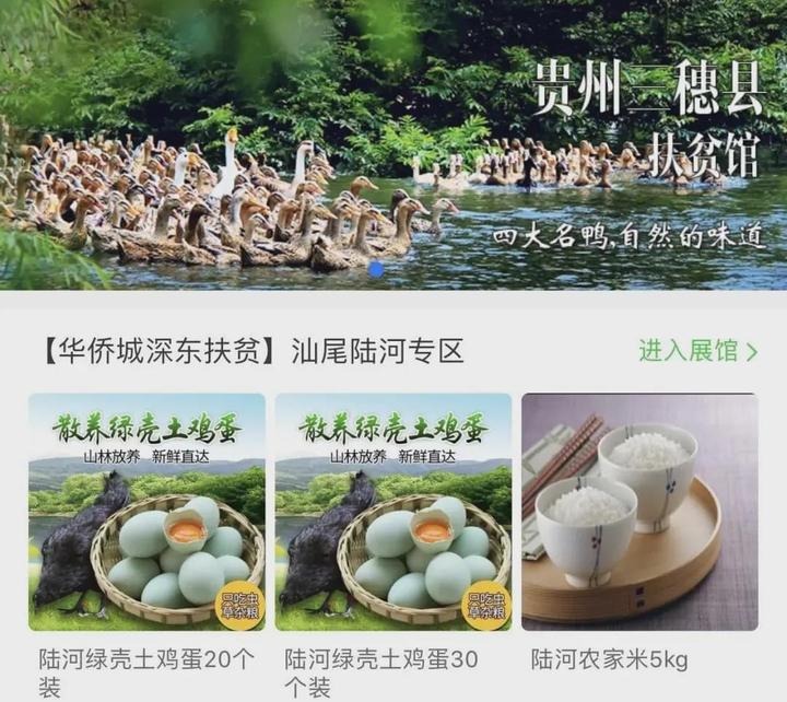 致富海南养殖企业_海南养殖什么致富_海南养殖业什么最赚钱农村