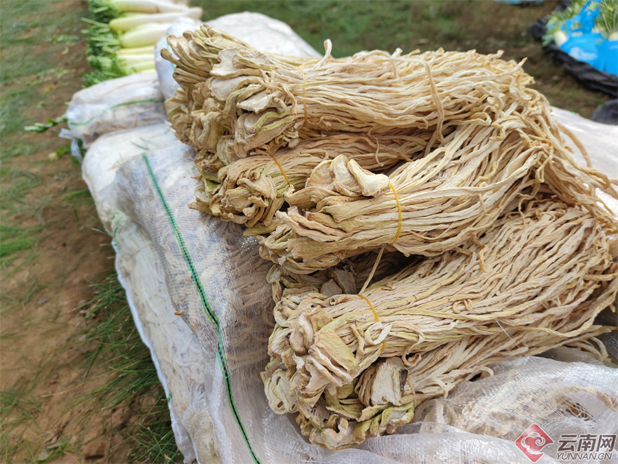 楚雄农作物_楚雄农村致富种植_楚雄蔬菜种植基地