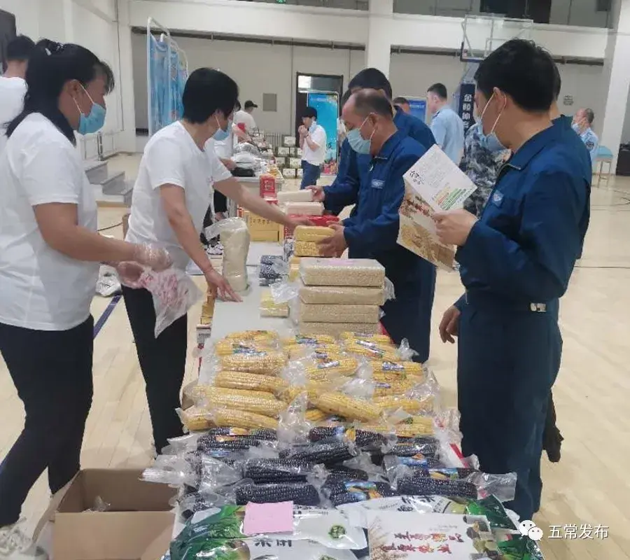 黑龙江玉米高产种植技术_黑龙江玉米种植成本明细_致富经黑龙江玉米种植