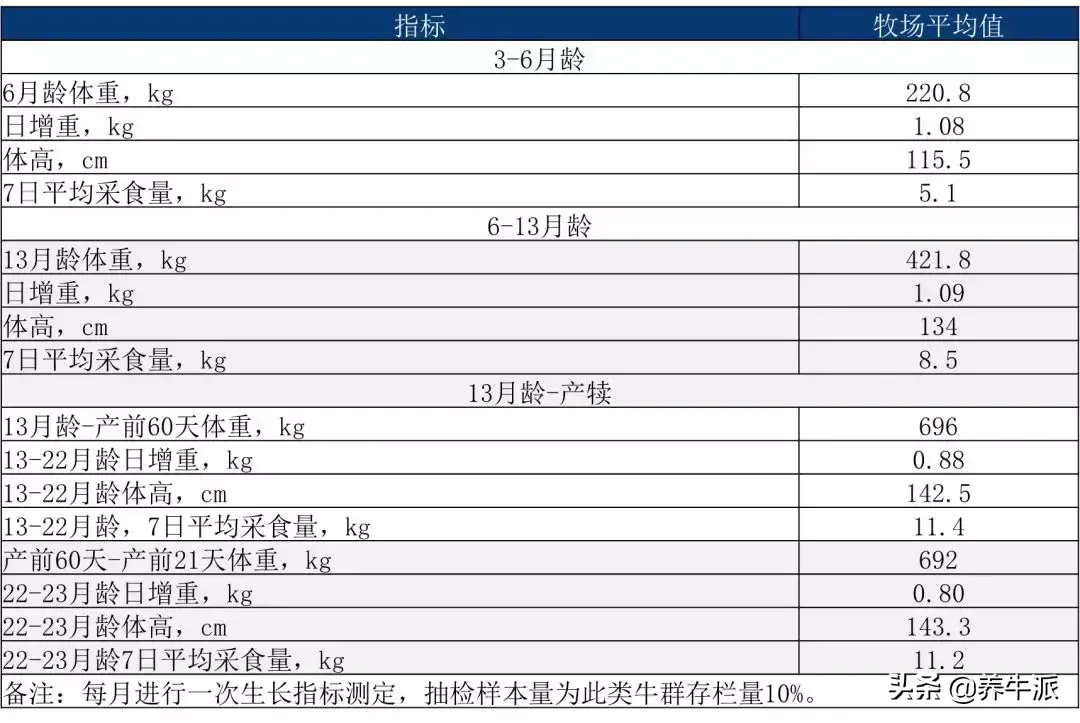 山东牛养殖技术_山东养牛业_山东养牛