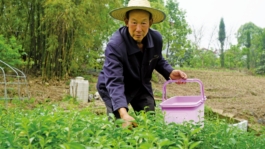 致富养殖种植热带农作物_致富热养殖种植_致富养殖好项目