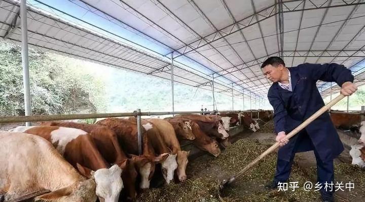 致富养殖项目_怎样养殖才致富_致富养殖蝎子