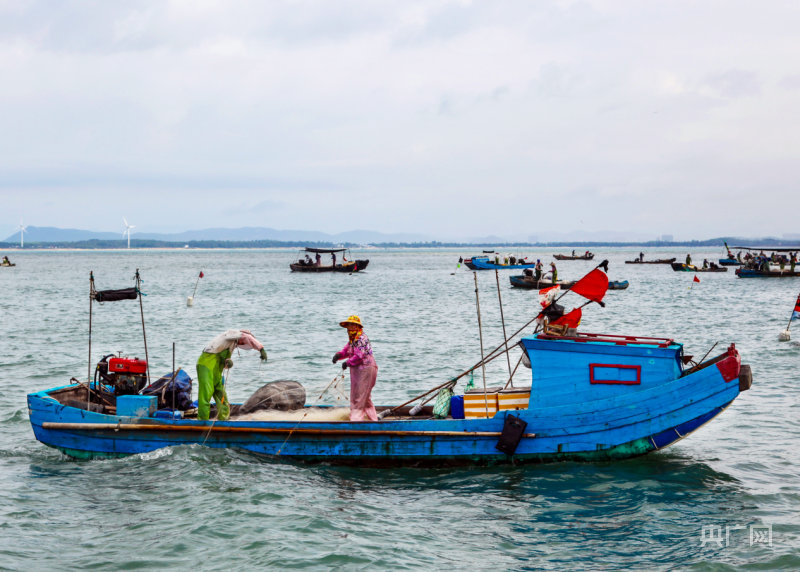 海洋养殖致富_海洋养殖产品_海洋养殖业的前景