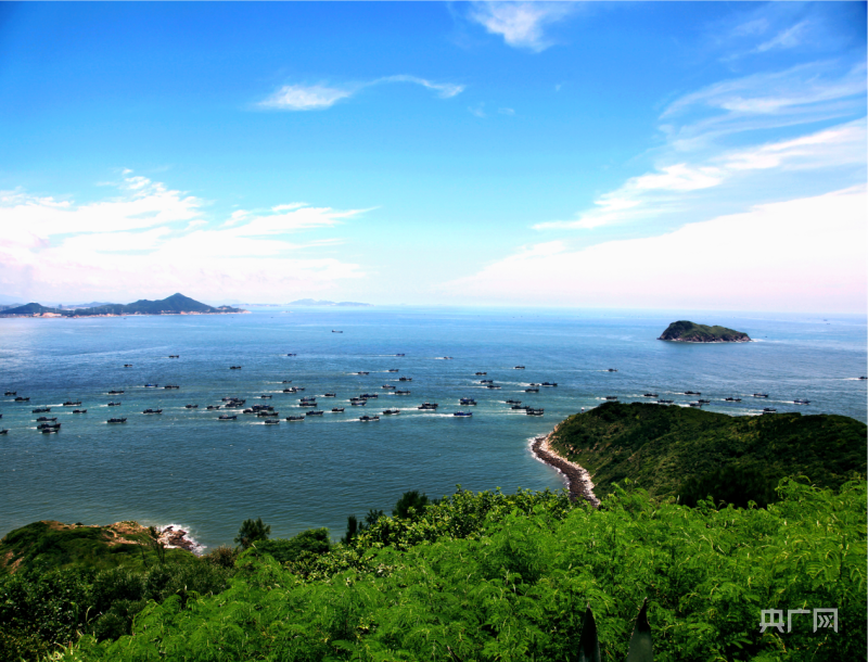 海洋养殖致富_海洋养殖产品_海洋养殖业的前景