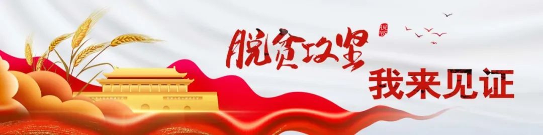 瓜子种植视频_致富瓜子种植小麦视频_小瓜子种植致富