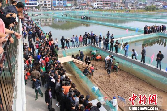 图为校企合作企业良好的经济效益受到行业关注　浙江海洋学院供图　摄