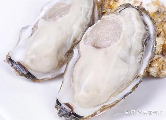 致富经乳山牡蛎视频_山东乳山牡蛎多少钱一斤_乳山牡蛎养殖技术