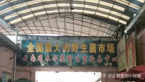 云南致富带头人_云南富裕么_云南省致富经排名
