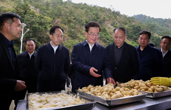 王宁在怒江州调研指导第二批主题教育时强调 充分挖掘乡村特色资源价值 把群众组织起