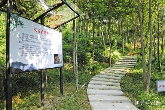 海南珍珠（株）快繁公司：广东（海南、电白、中山、玉林）肇庆市广宁县：谭水福120