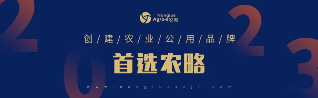 一镇一品丨品牌强镇风采 南桥斑兰致富经 种下“金”叶子过上好日子！