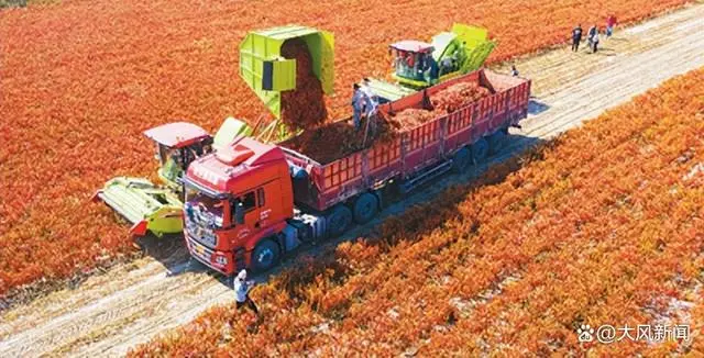 中国辣椒年产量稳居世界第一，食辣人口超5亿