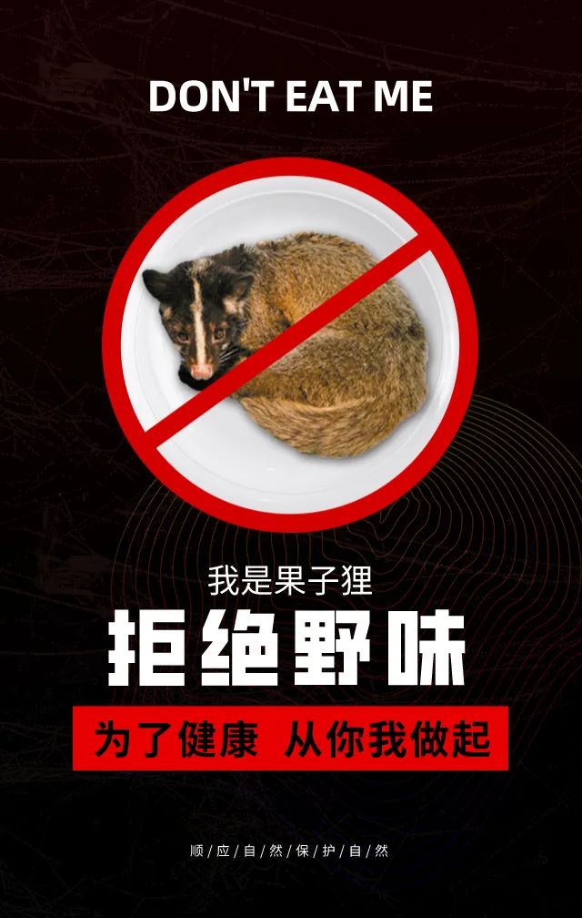 食用菜花蛇养殖技术_菜花蛇养殖技术视频_养殖食用蛇菜花技术要求