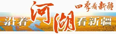走高效节水农业发展之路 让新疆果农过上“甜日子”