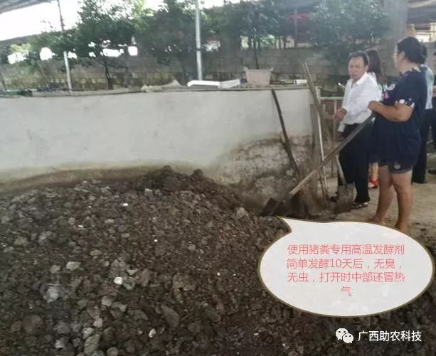肉食猪养殖_肉猪养殖技术视频_视频养殖猪肉技术大全