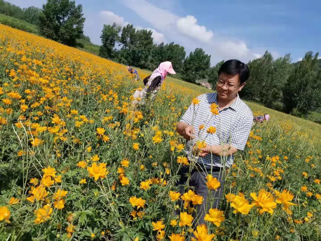 养殖柴鸡的利润与成本_柴鸡养殖致富视频_柴鸡养殖厂