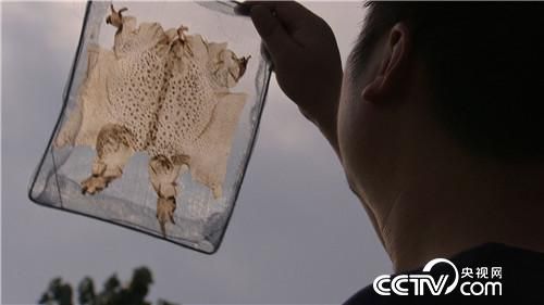 致富经cctv7养青蛙视频_致富经cctv7养青蛙视频_致富经cctv7养青蛙视频