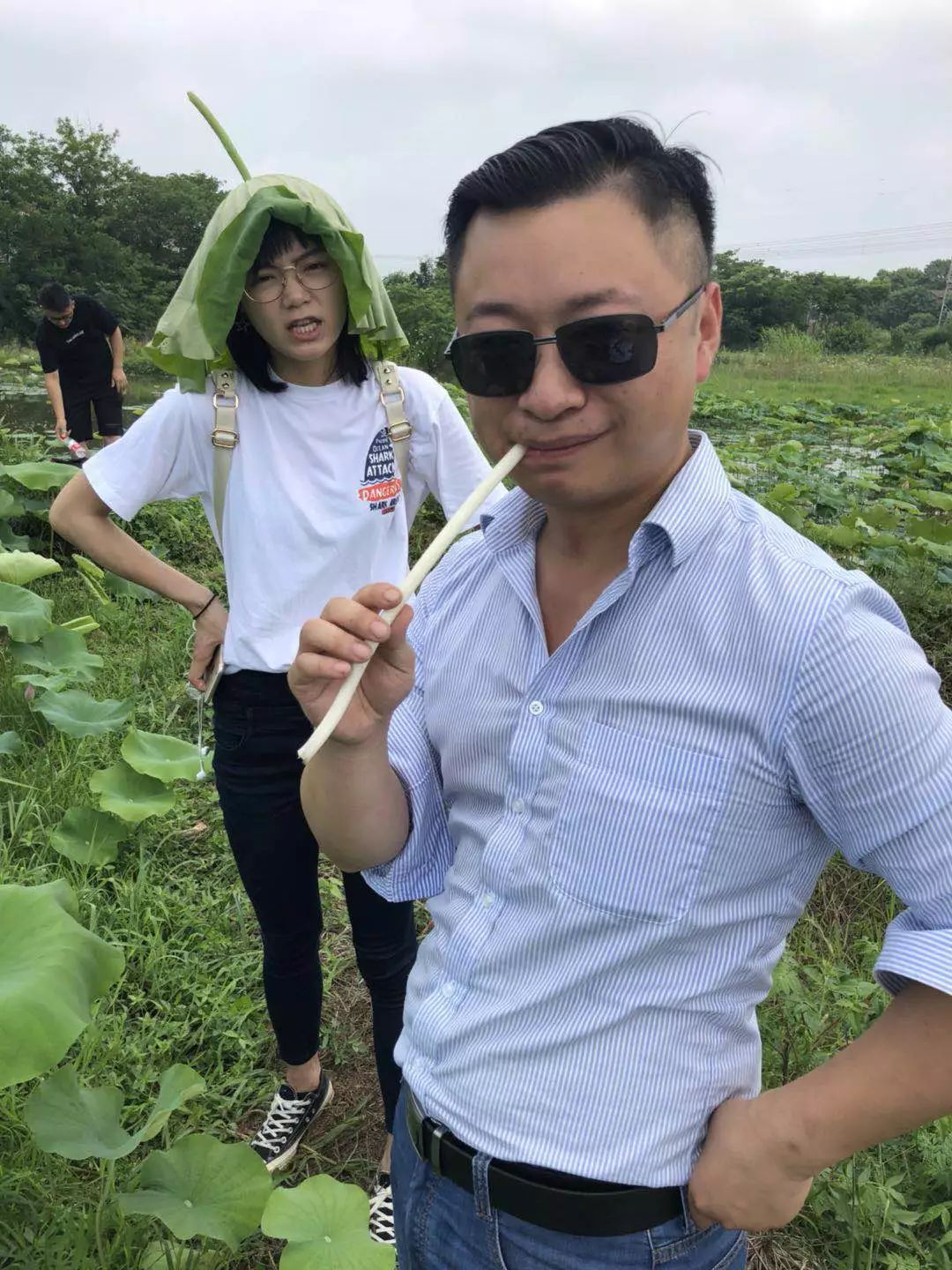 藕带怎么种植技术_藕的种植与管理_藕种植