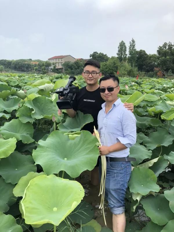 藕带怎么种植技术_藕的种植与管理_藕种植