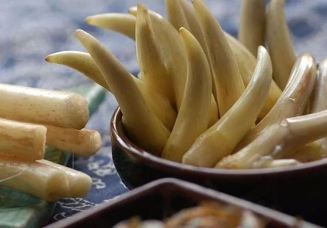 藕带怎么种植技术_藕种植_藕的种植与管理