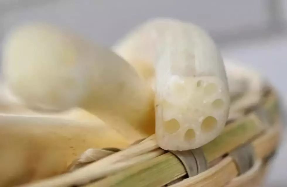 藕种植_藕带怎么种植技术_藕的种植与管理