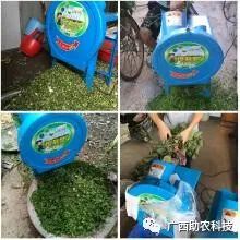 肉食猪养殖_肉猪养殖技术视频_视频养殖猪肉技术教程