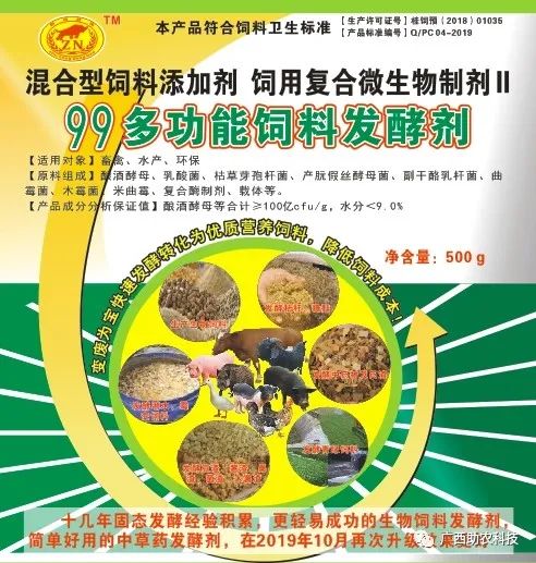 肉猪养殖技术视频_肉食猪养殖_视频养殖猪肉技术教程