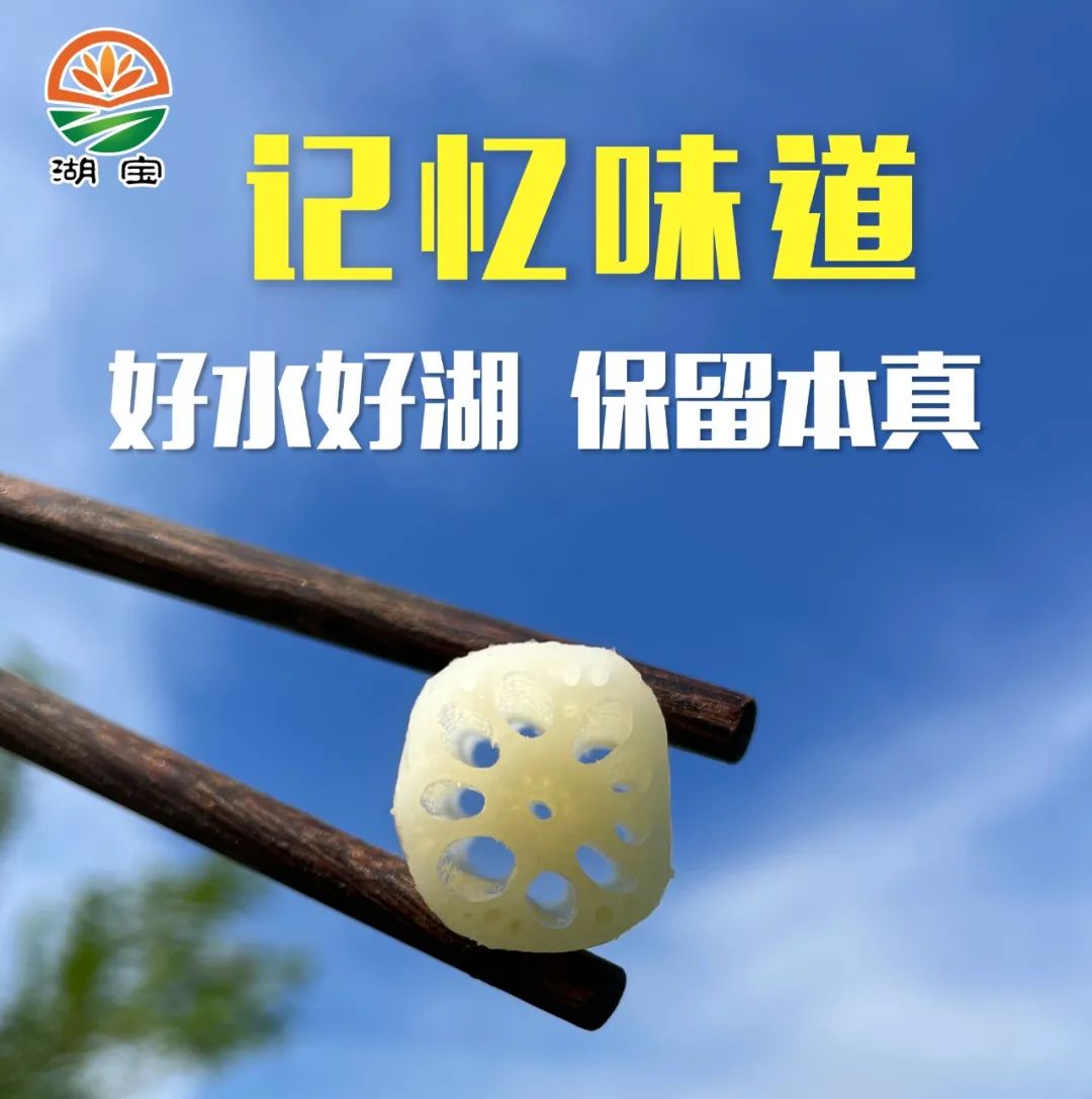 藕种植_藕的种植与管理_藕带怎么种植技术