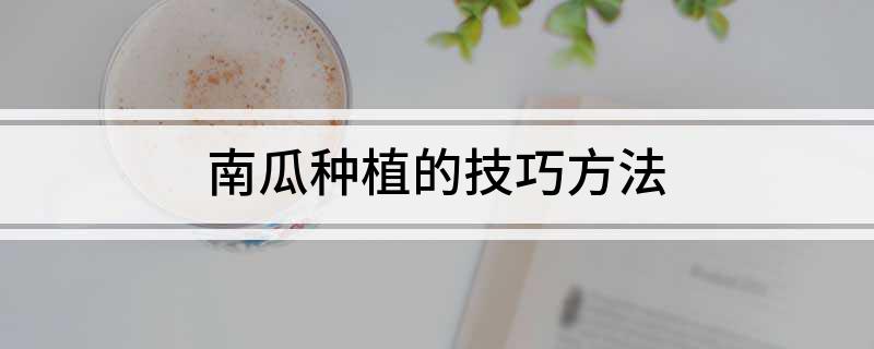 南瓜种植山东技术视频_南瓜种植山东技术与管理_山东南瓜种植技术